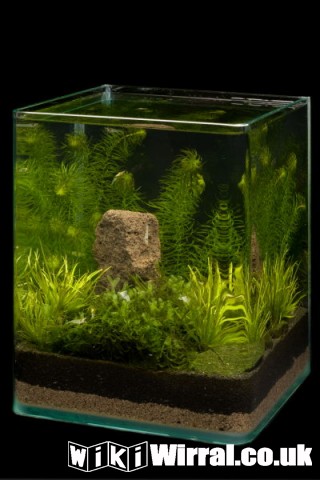 Attached picture 10l nano.jpg